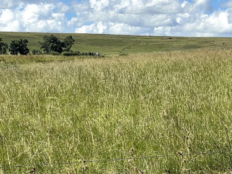 0 Bedroom Property for Sale in Lindley Free State